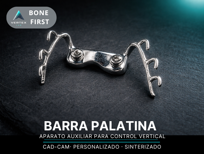 Barra auxiliar de control vertical
